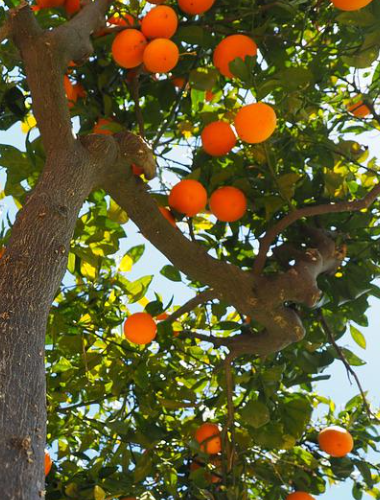 Kaiyun(中国大陆)控股有限公司 - 官方网站/登录入口