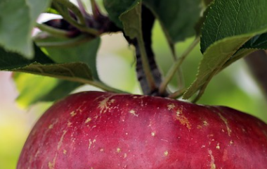 Kaiyun(中国大陆)控股有限公司 - 官方网站/登录入口