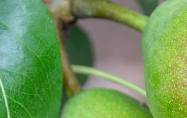 Kaiyun(中国大陆)控股有限公司 - 官方网站/登录入口