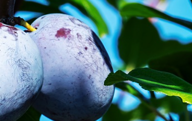 Kaiyun(中国大陆)控股有限公司 - 官方网站/登录入口