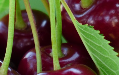 Kaiyun(中国大陆)控股有限公司 - 官方网站/登录入口