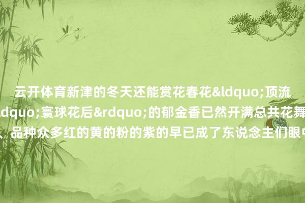 云开体育新津的冬天还能赏花春花&ldquo;顶流&rdquo;被誉为&ldquo;寰球花后&rdquo;的郁金香已然开满总共花舞东说念主间豪情丰富、品种众多红的黄的粉的紫的早已成了东说念主们眼中的主角在阳光的映照下如绸缎般质感的花瓣变得更有光芒拿脱手机拍上几张让春天的气味先在手机里定格这个春节来新津赏雪赏灯赏炊火把身心王人装满年味也装满花香    -Kaiyun(中国大陆)控股有限公司 - 官方网站/登录入口